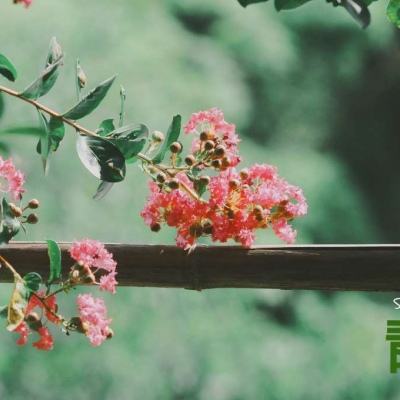 杰克快乐的一天